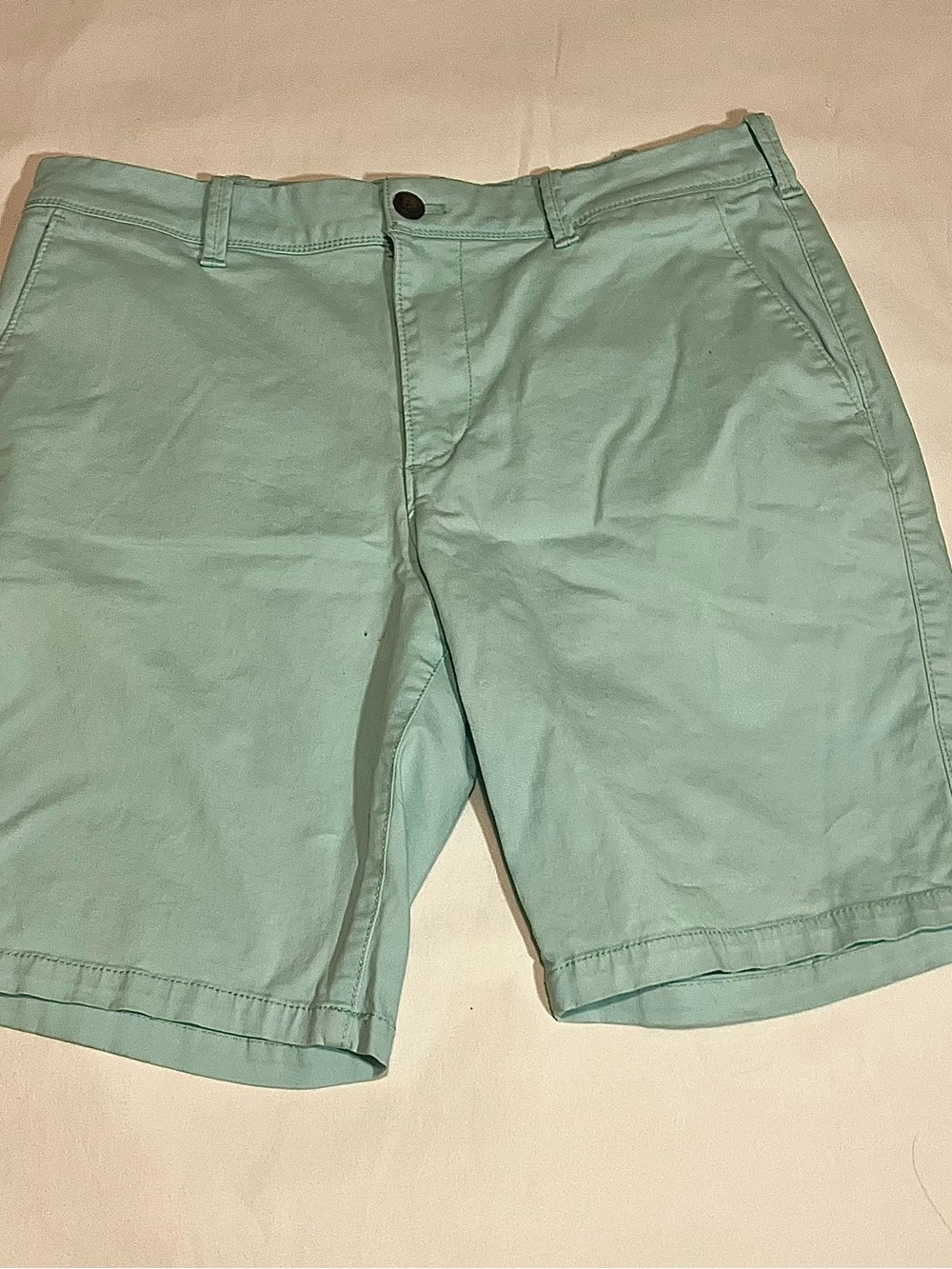 Express Women’s Mint Green Chino Shorts